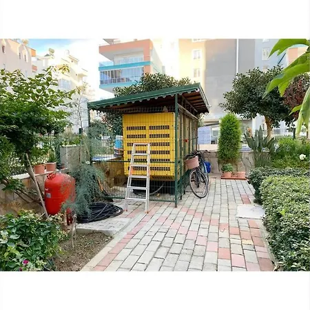 公寓 Comfortable 1+1 In A View In Mahmutlar *